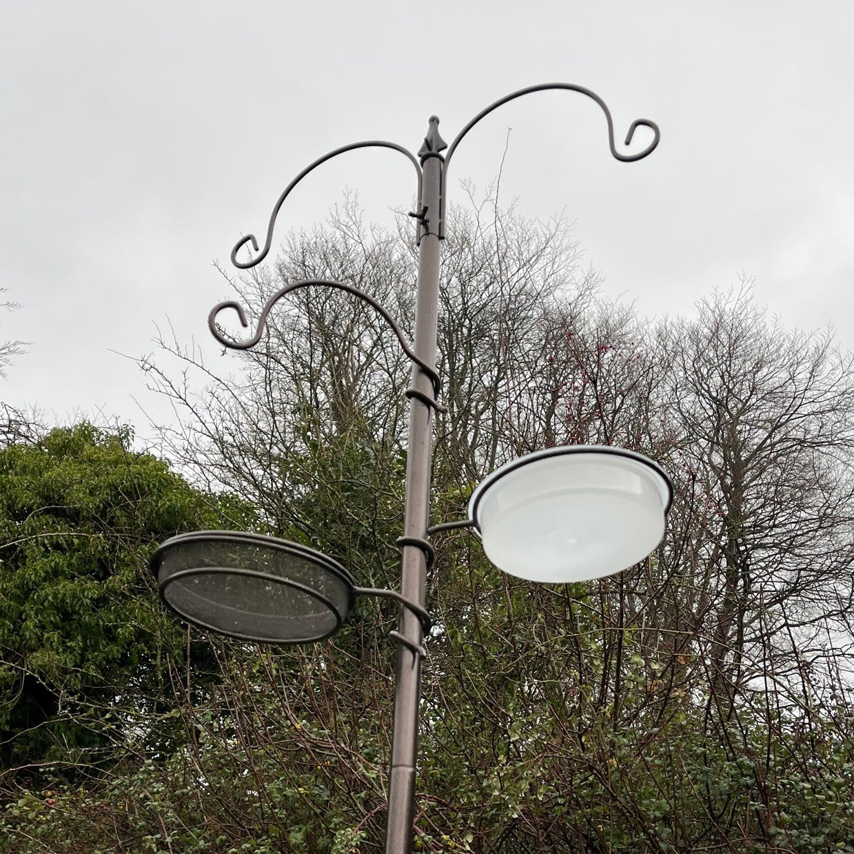 Metal Bird Feeding Station with Mealworm Tray and Water Dish