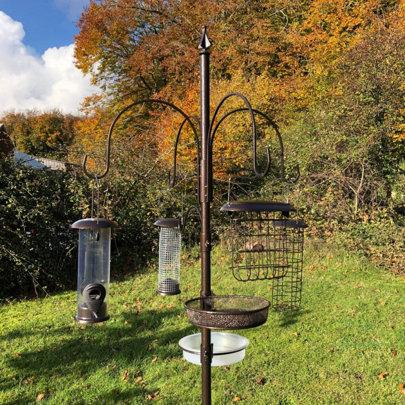 Metal Complete Bird Feeding Station with 4 Feeders