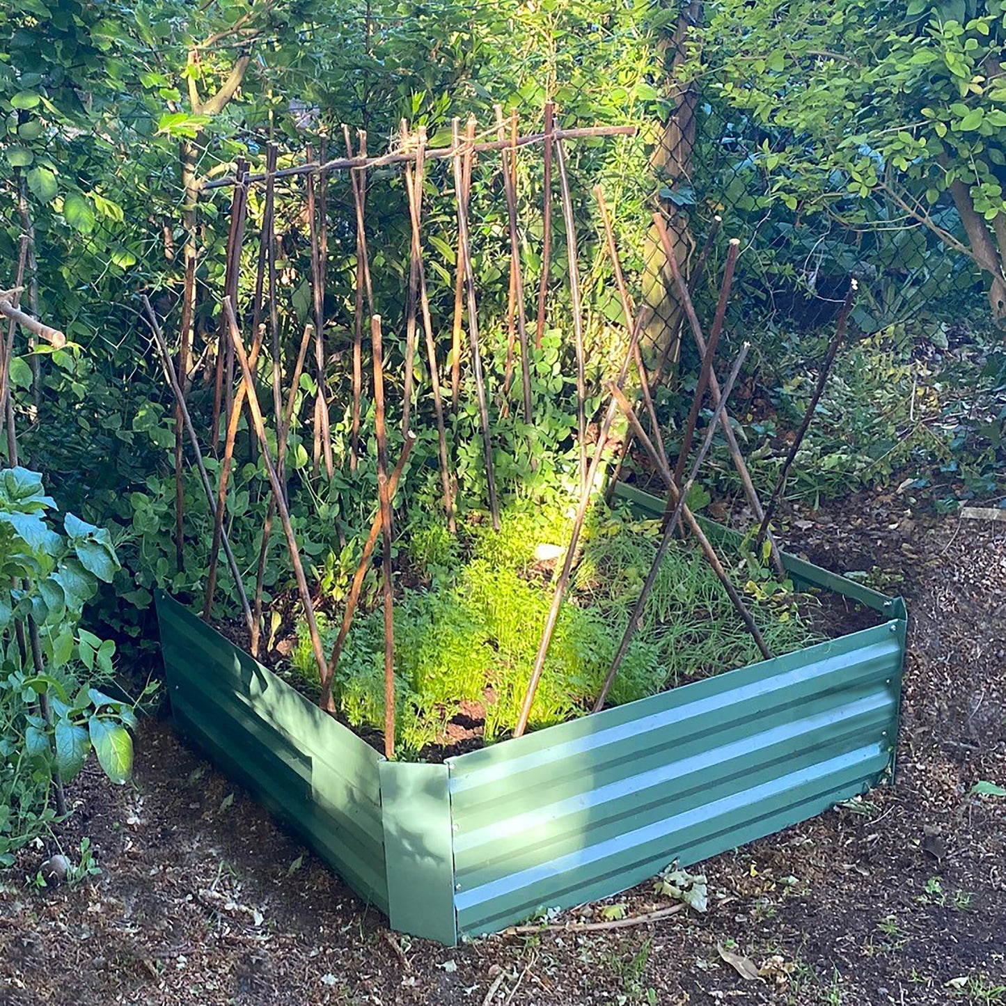 Set of 3 x Metal Raised Vegetable Beds in Green (100cm x 30cm)