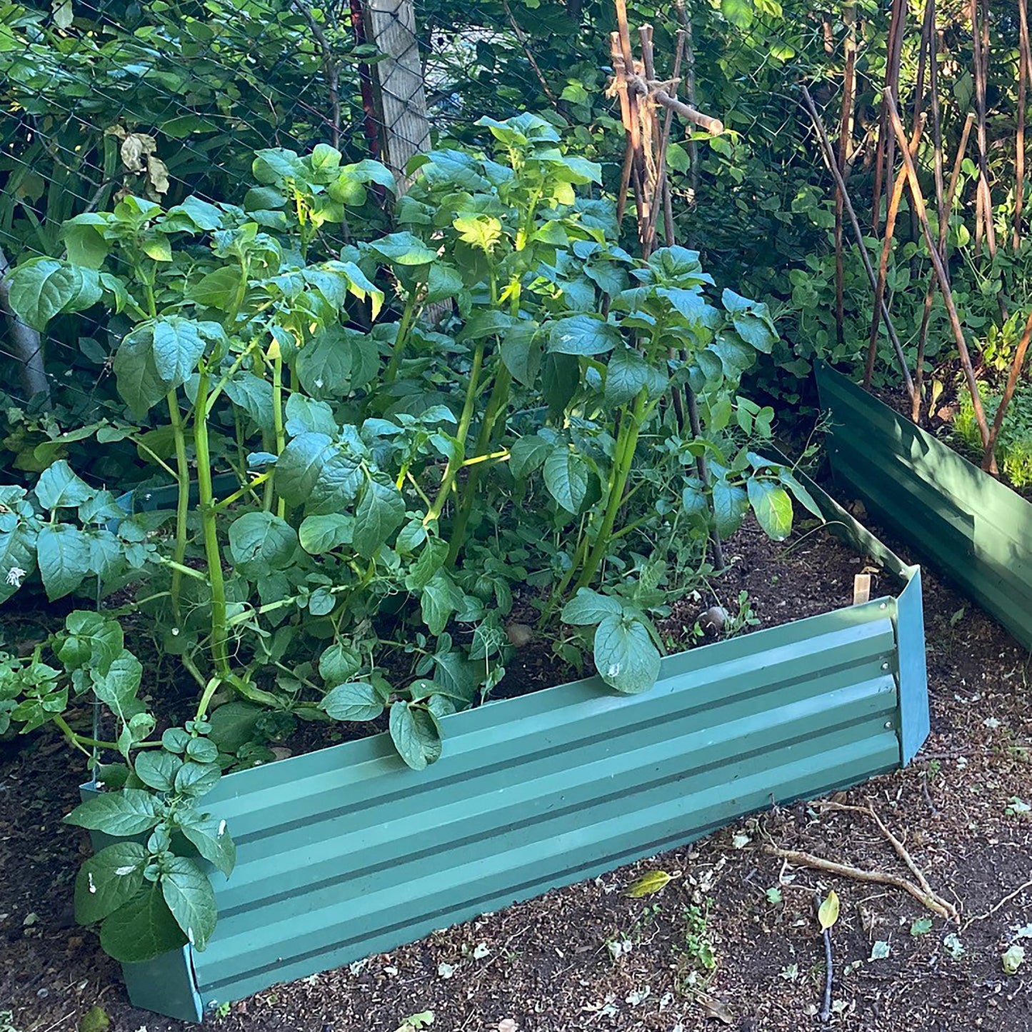 Metal Raised Vegetable Bed in Green (100cm x 30cm)