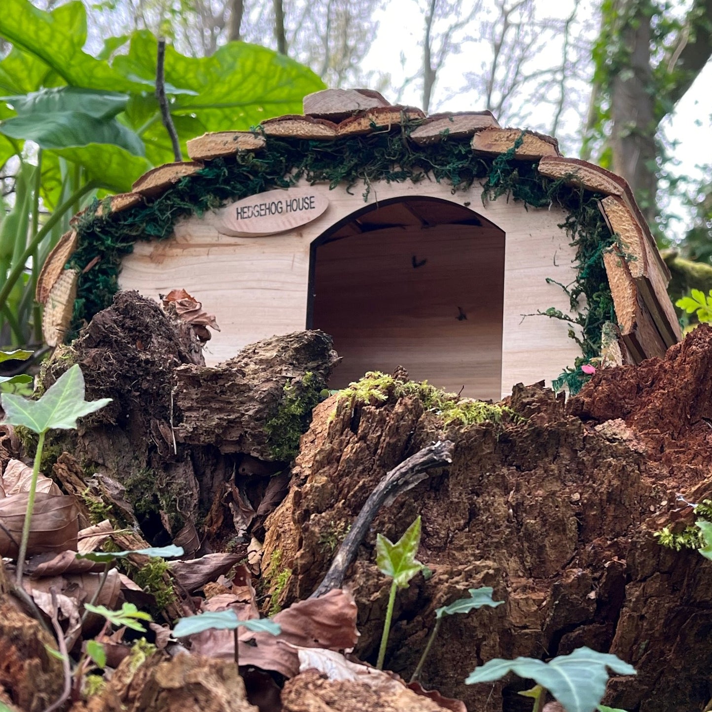 Wooden Hedgehog House Hogitat With Bark Roof