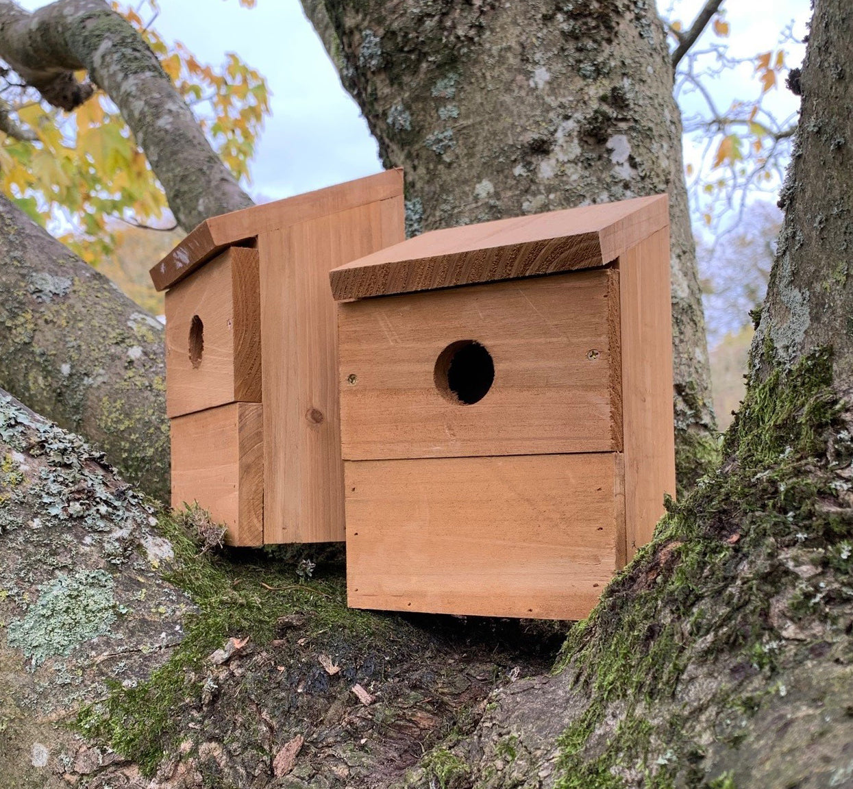 Wooden Multi-Hole Wild Bird Classic Nest Birdhouse Boxes (Set of 2)