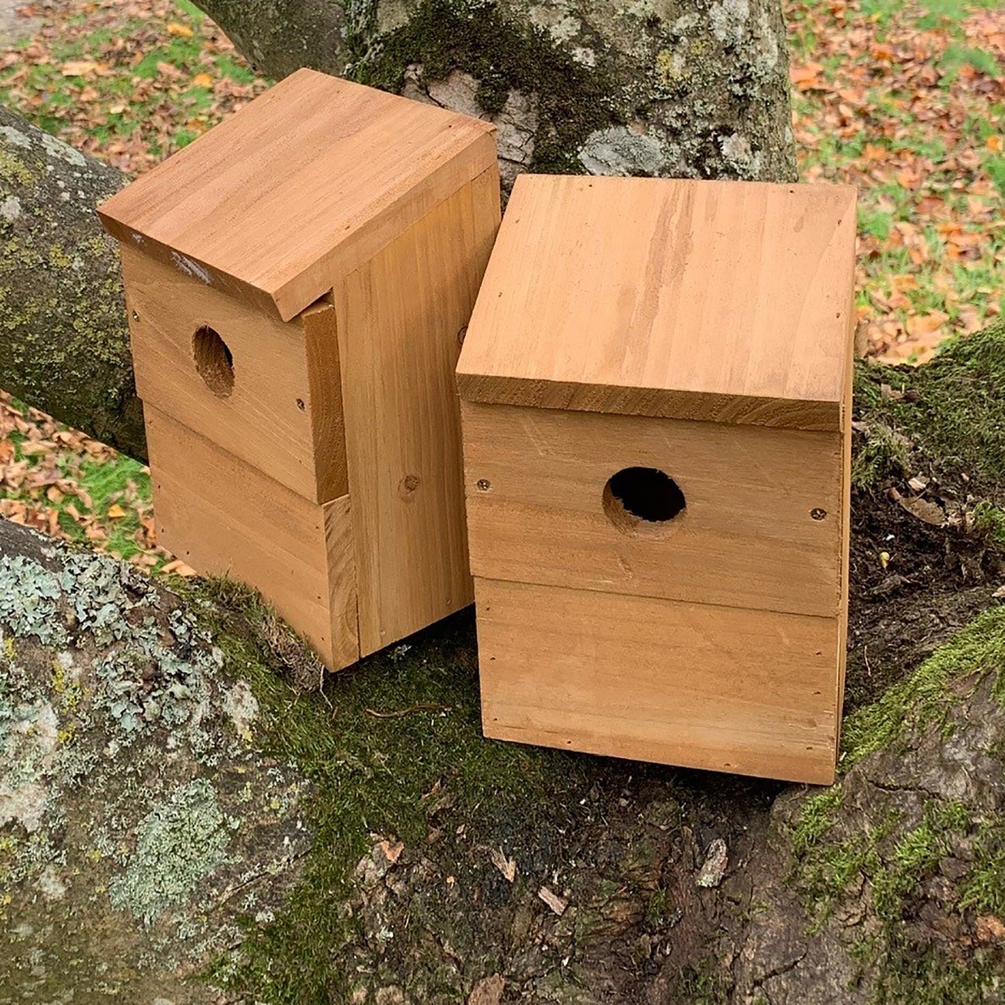 Wooden Multi-Hole Wild Bird Classic Nest Birdhouse Boxes (Set of 2)