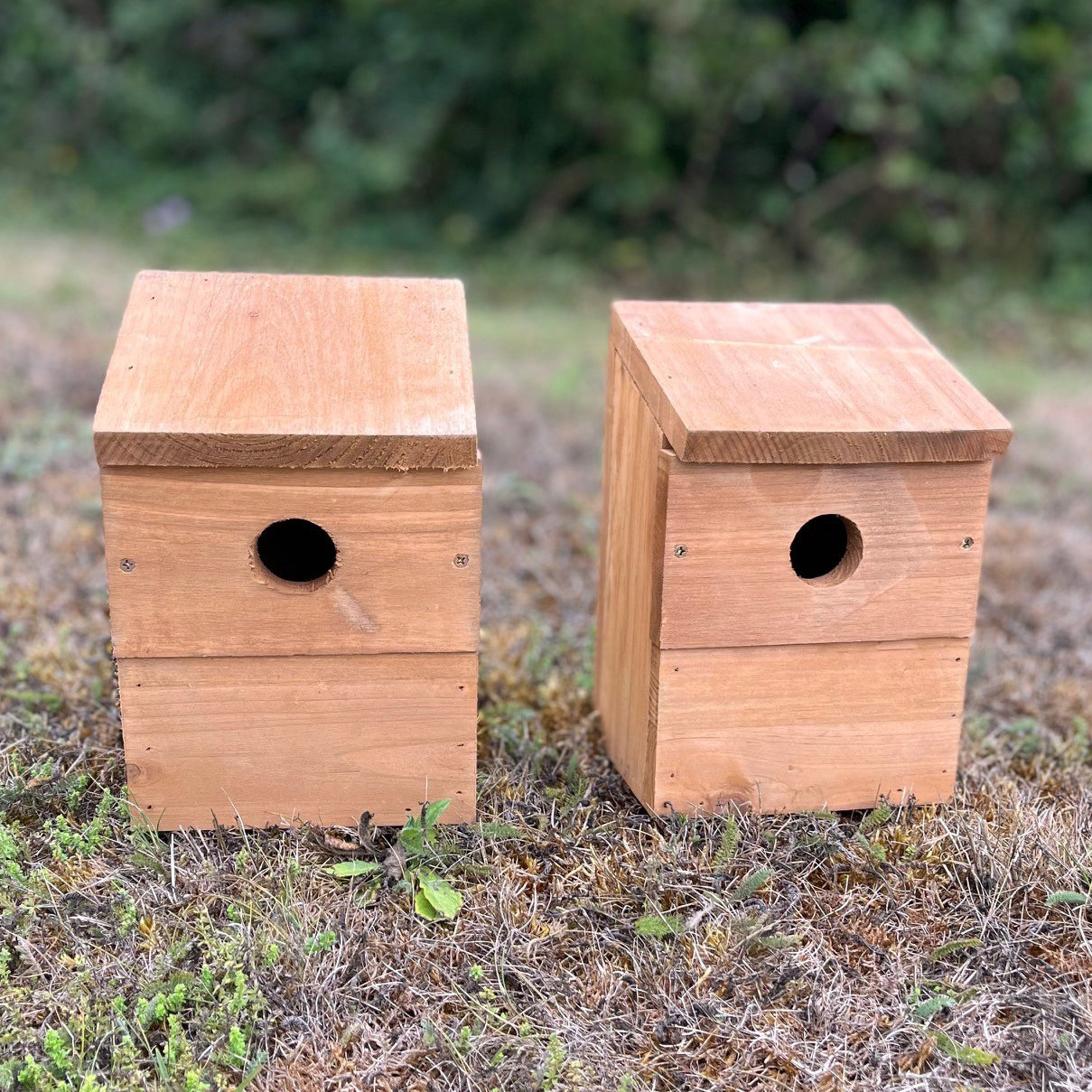 Wooden Multi-Hole Wild Bird Classic Nest Birdhouse Boxes (Set of 2)