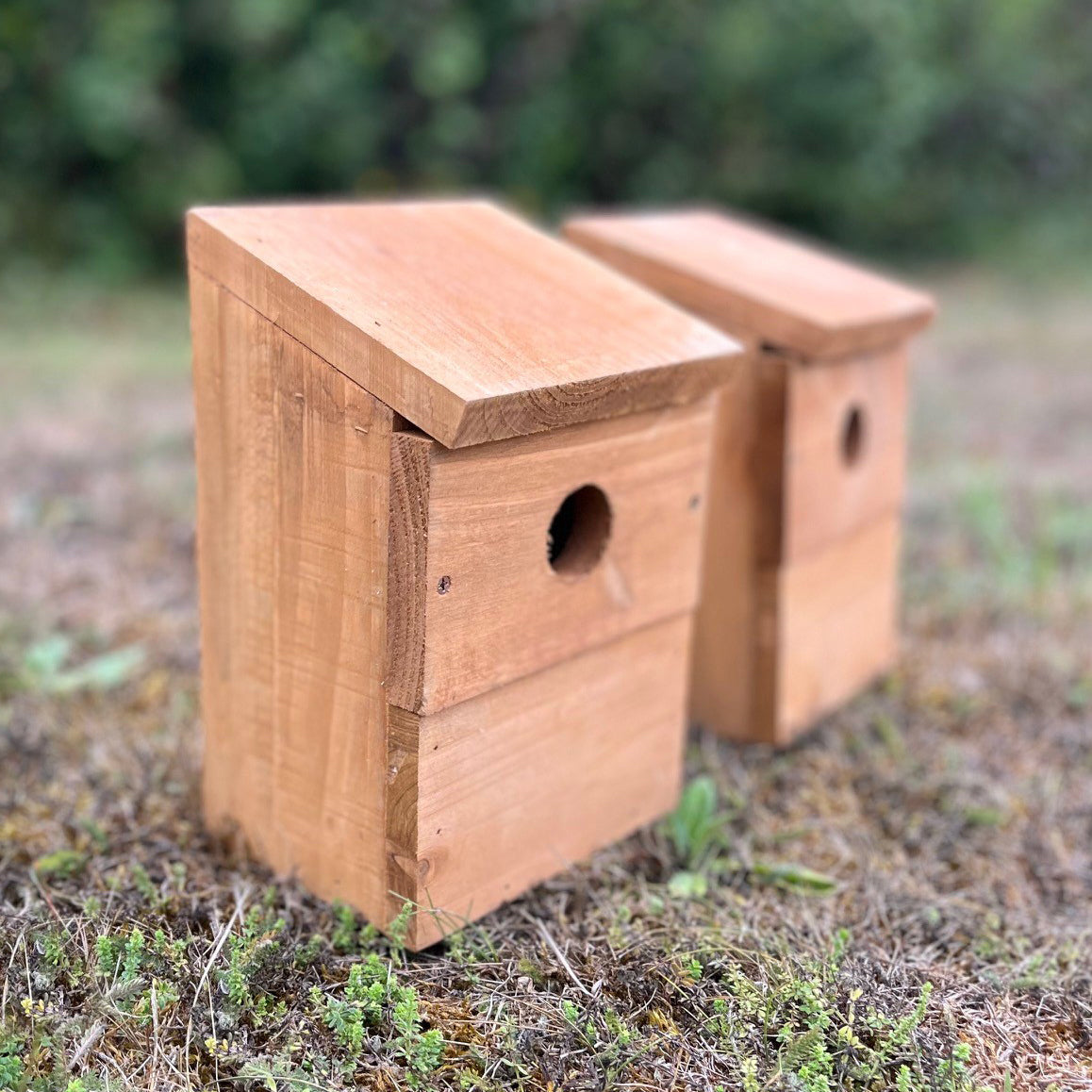 Wooden Multi-Hole Wild Bird Classic Nest Birdhouse Boxes (Set of 2)