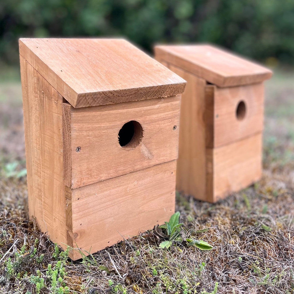 Wooden Multi-Hole Wild Bird Classic Nest Birdhouse Boxes (Set of 4)