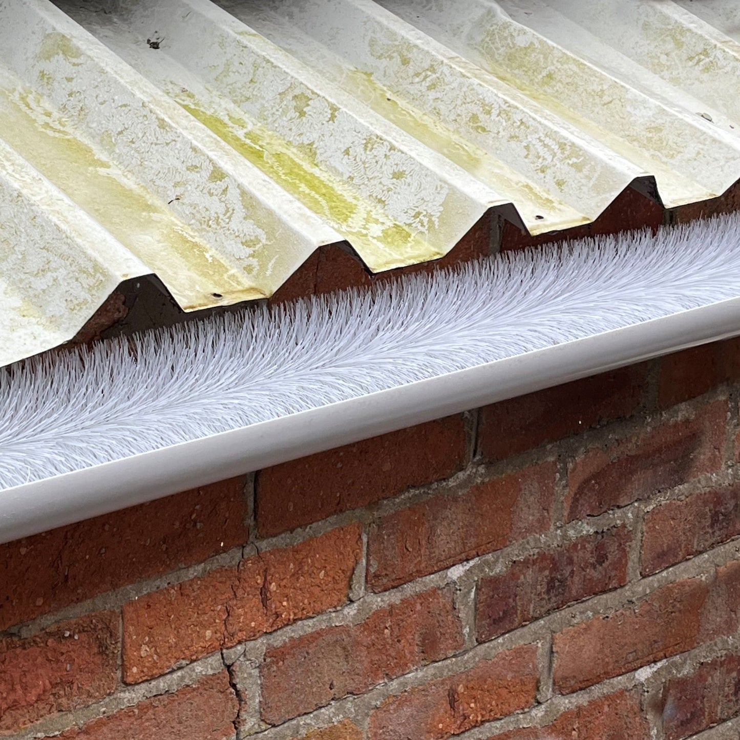 20m White Gutter Brush Leaf & Moss Guard Protection (5 Rolls)