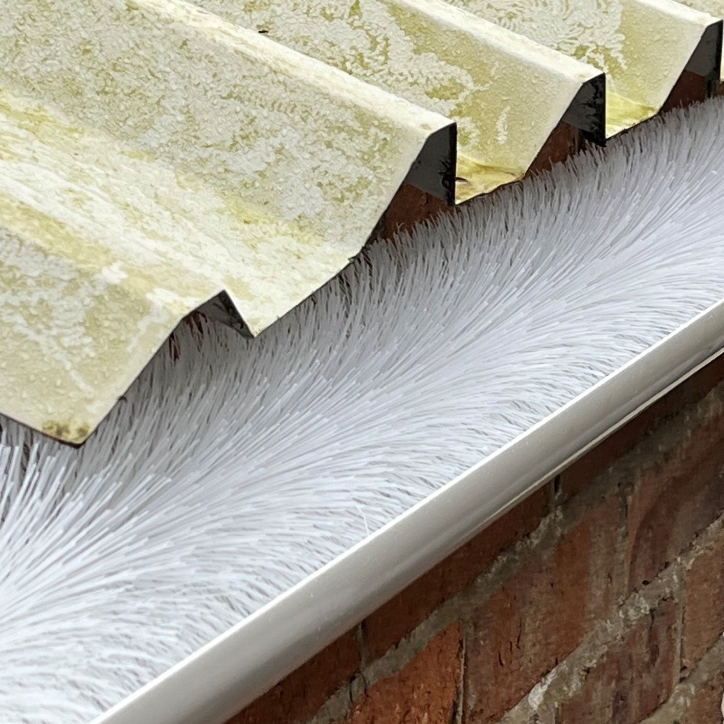 60m White Gutter Brush Leaf & Moss Guard Protection (15 Rolls)