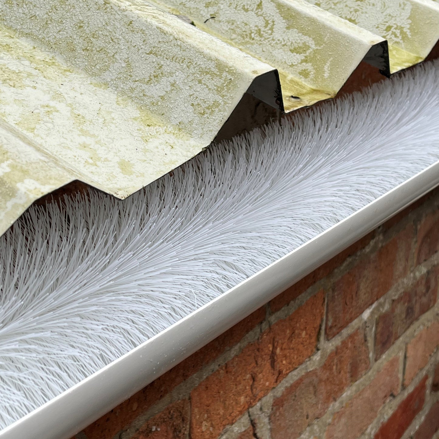 4m White Gutter Brush Leaf & Moss Guard Protection (1 Roll)