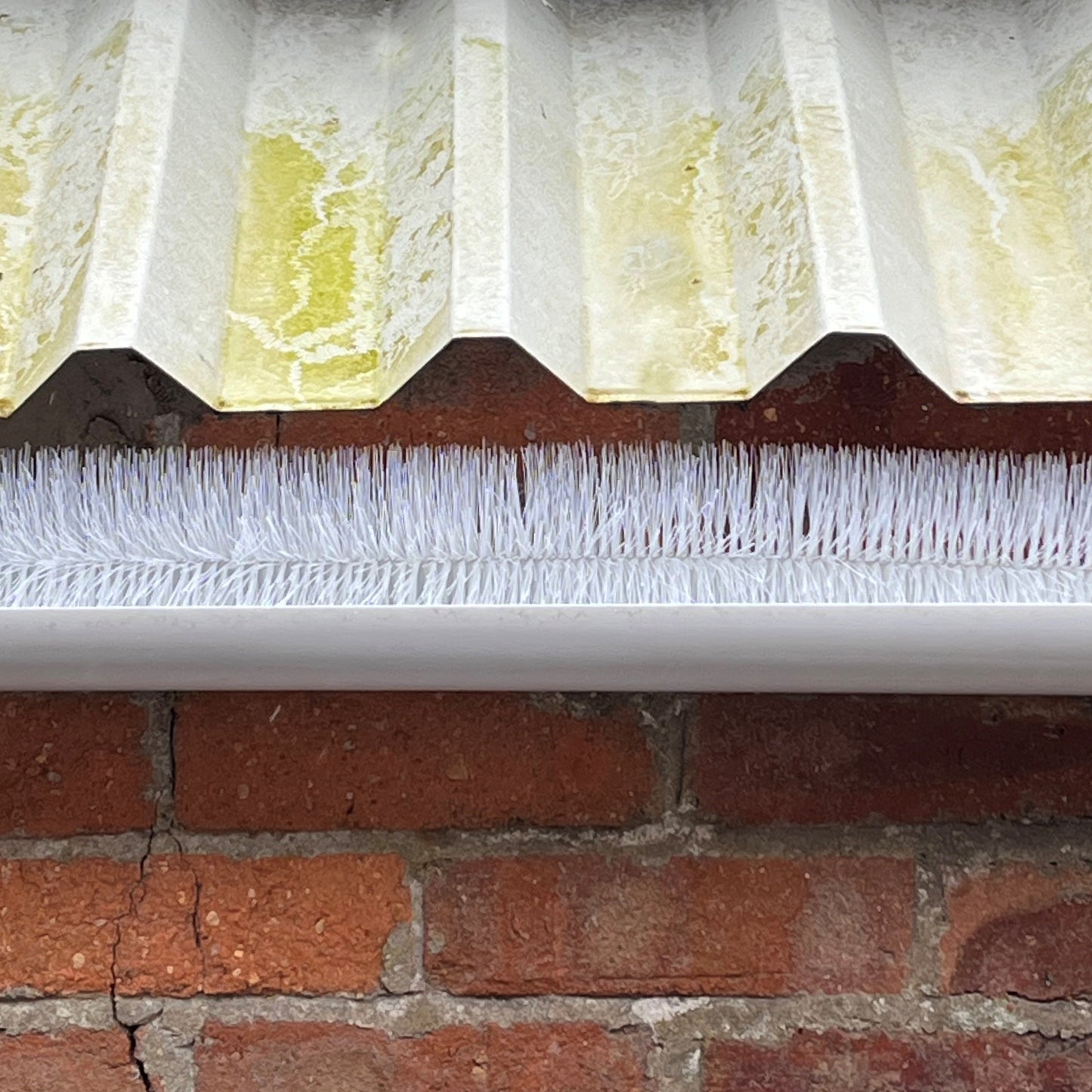 4m White Gutter Brush Leaf & Moss Guard Protection (1 Roll)