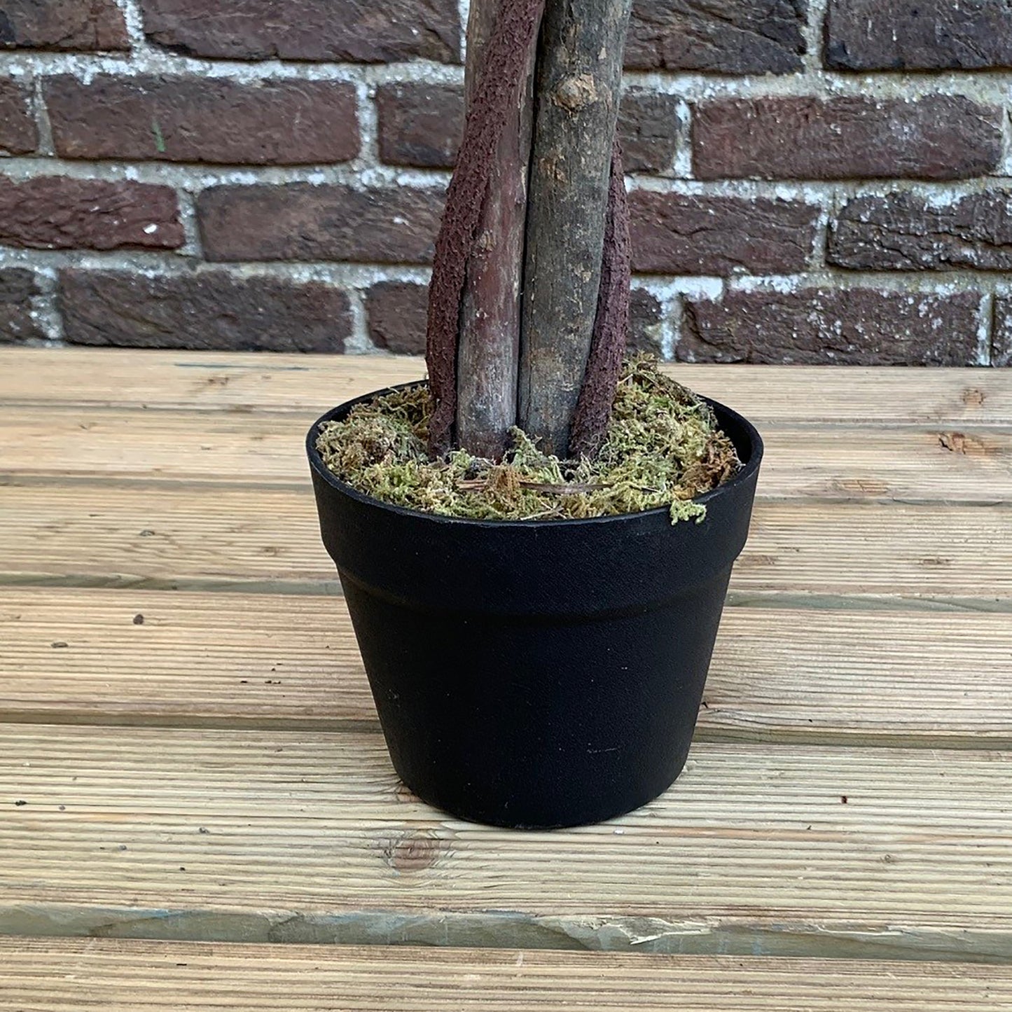 Set of 2 Artificial Topiary Ficus Fig Trees (120cm)