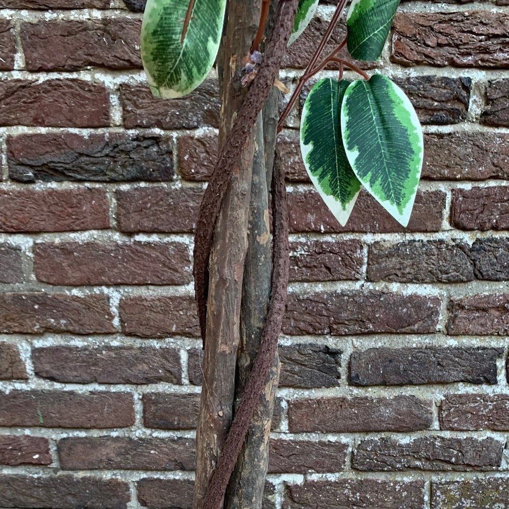 Set of 2 Artificial Topiary Ficus Fig Trees (120cm)