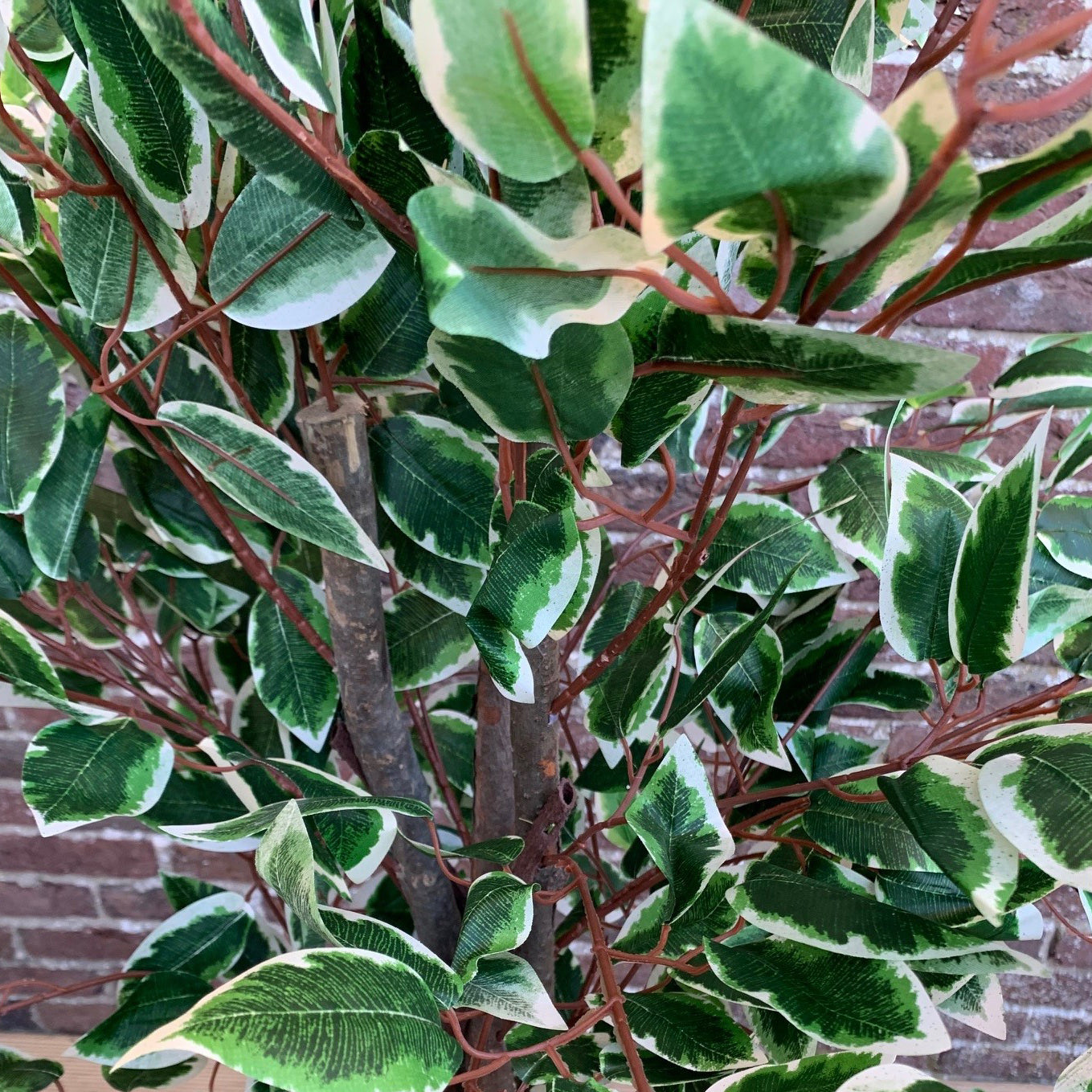 Set of 2 Artificial Topiary Ficus Fig Trees (120cm)