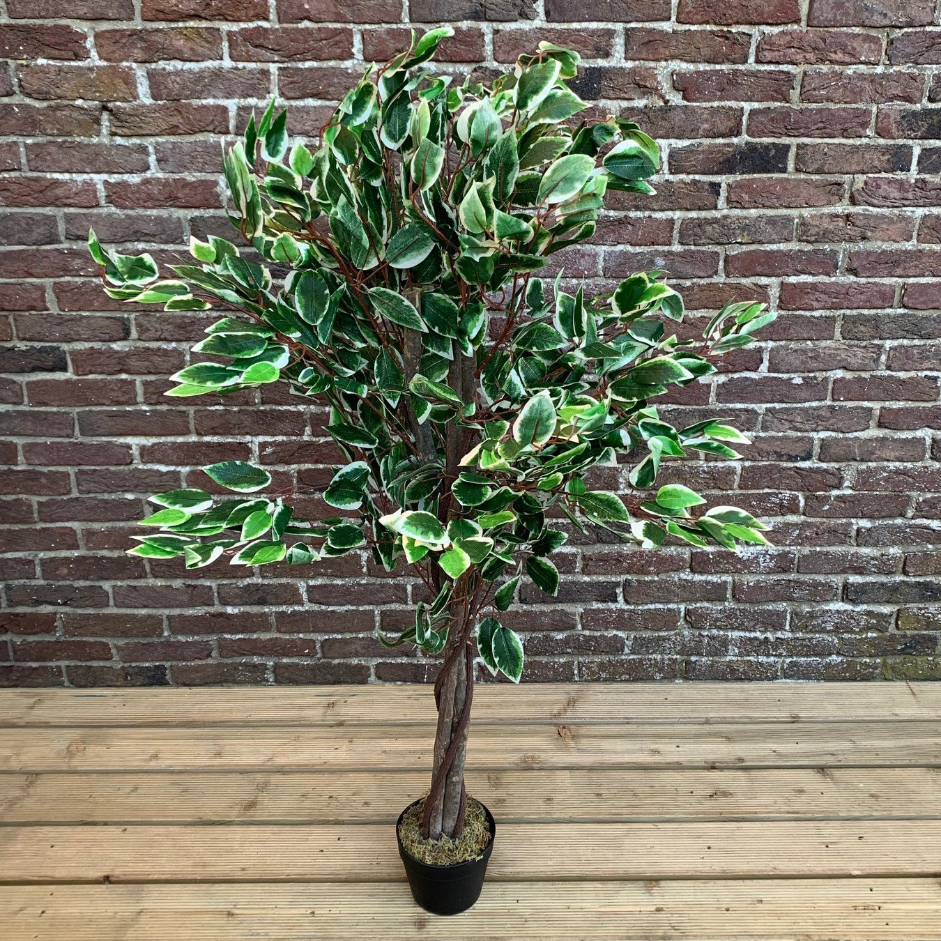 Artificial Topiary Ficus Fig Tree (120cm)