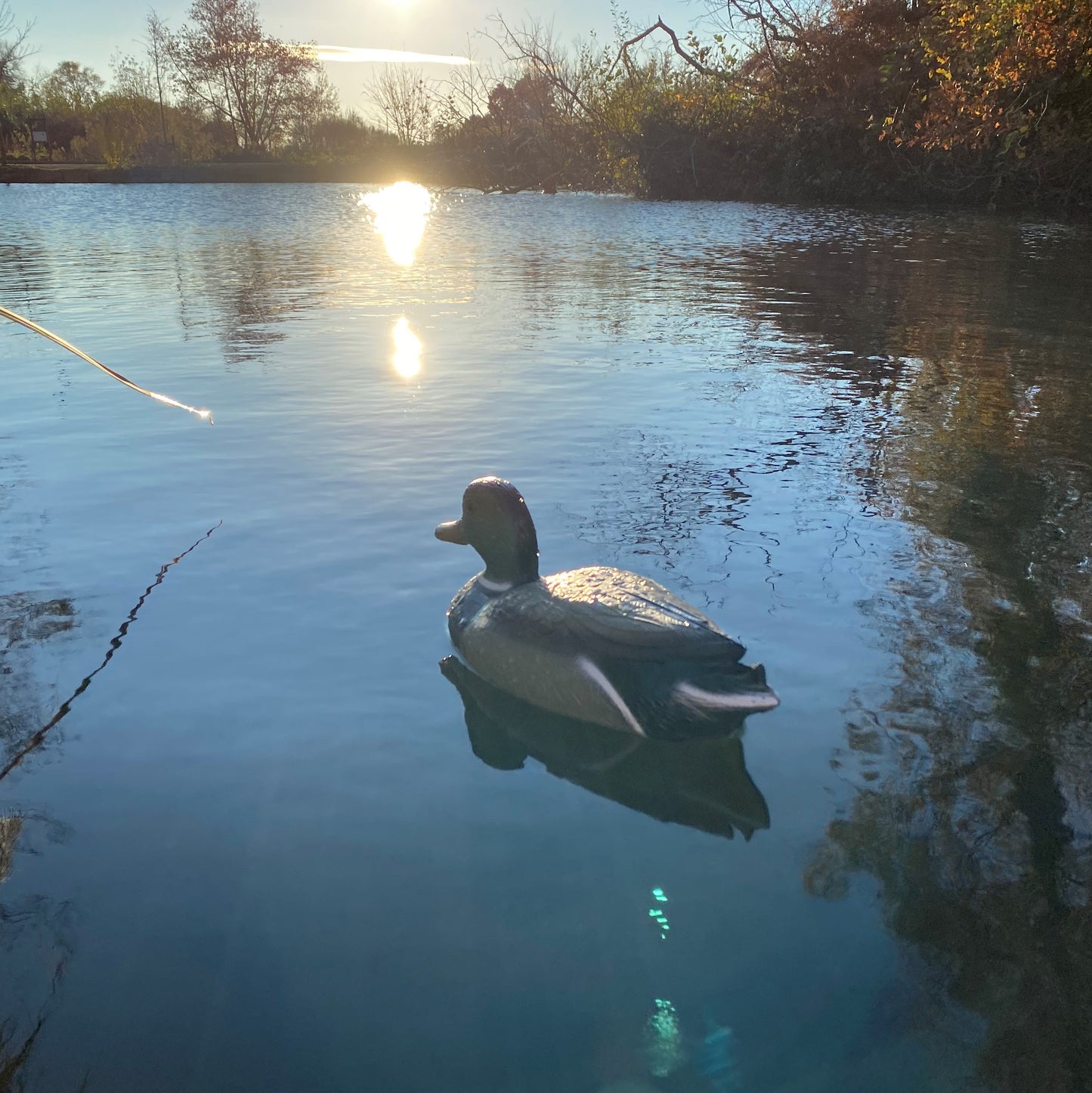 Mallard Duck Hunting Shooting Floating Decoy Pond Decoration Large (Set of 3)