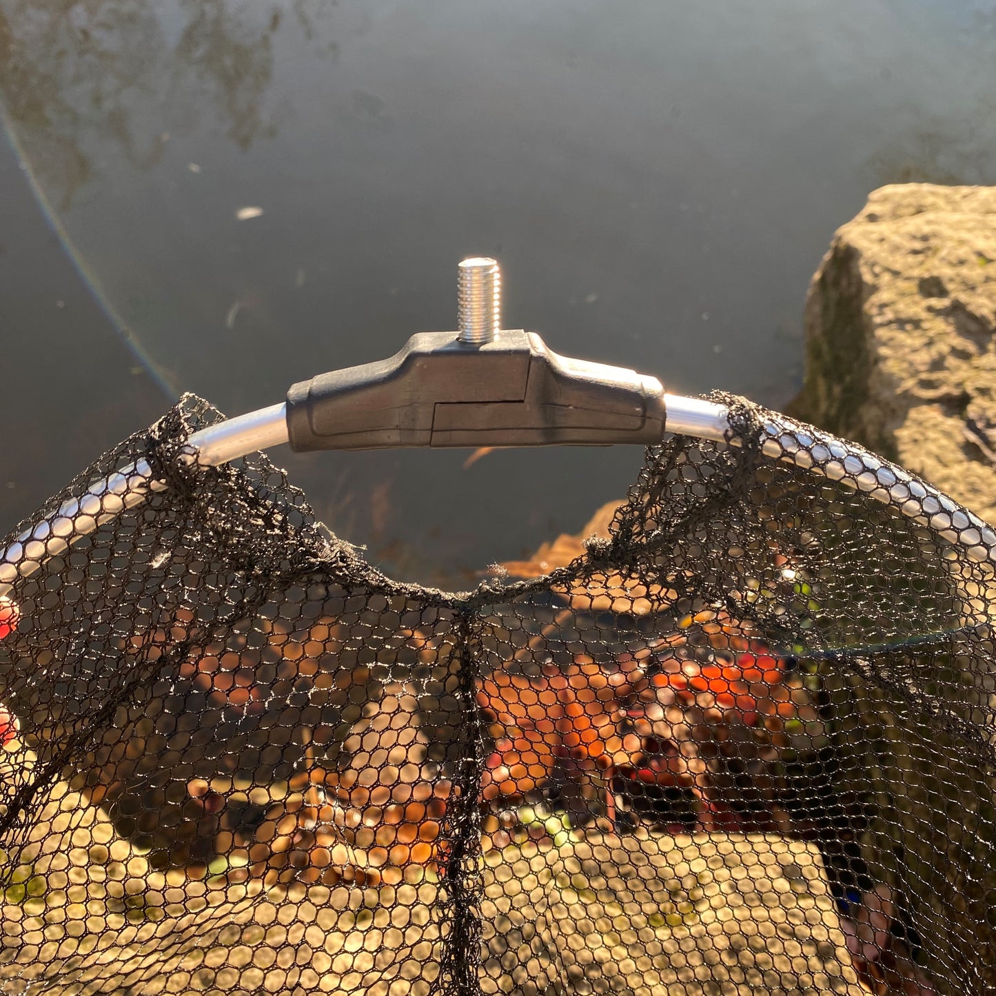 Telescopic Pond Net with Long Handle for Cleaning (190cm) - Pack of 2