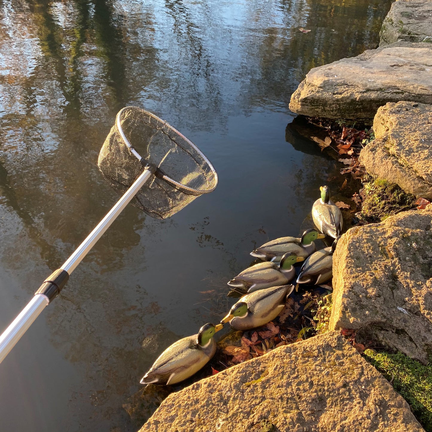 Telescopic Pond Net with Long Handle for Cleaning (190cm) - Pack of 2