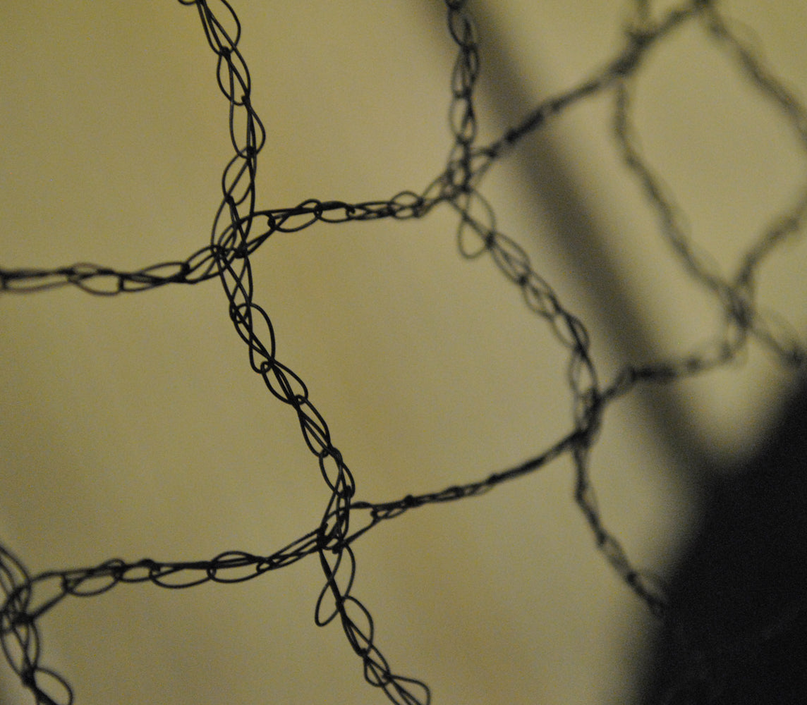 Protective Pond Netting Cover with 6 Pegs (3m x 2m)