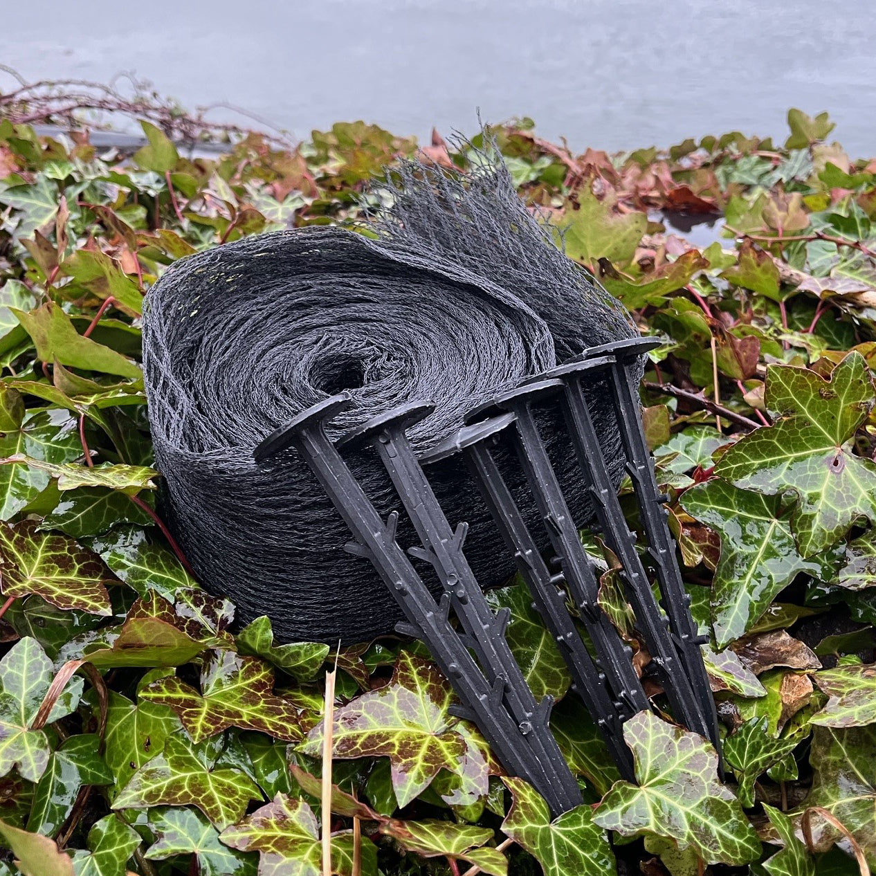 Protective Pond Netting Cover with 6 Pegs (3m x 2m)