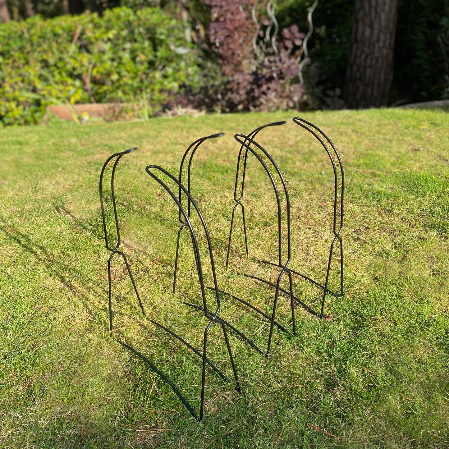 Set of 6 Growbag Cane Frame Supports