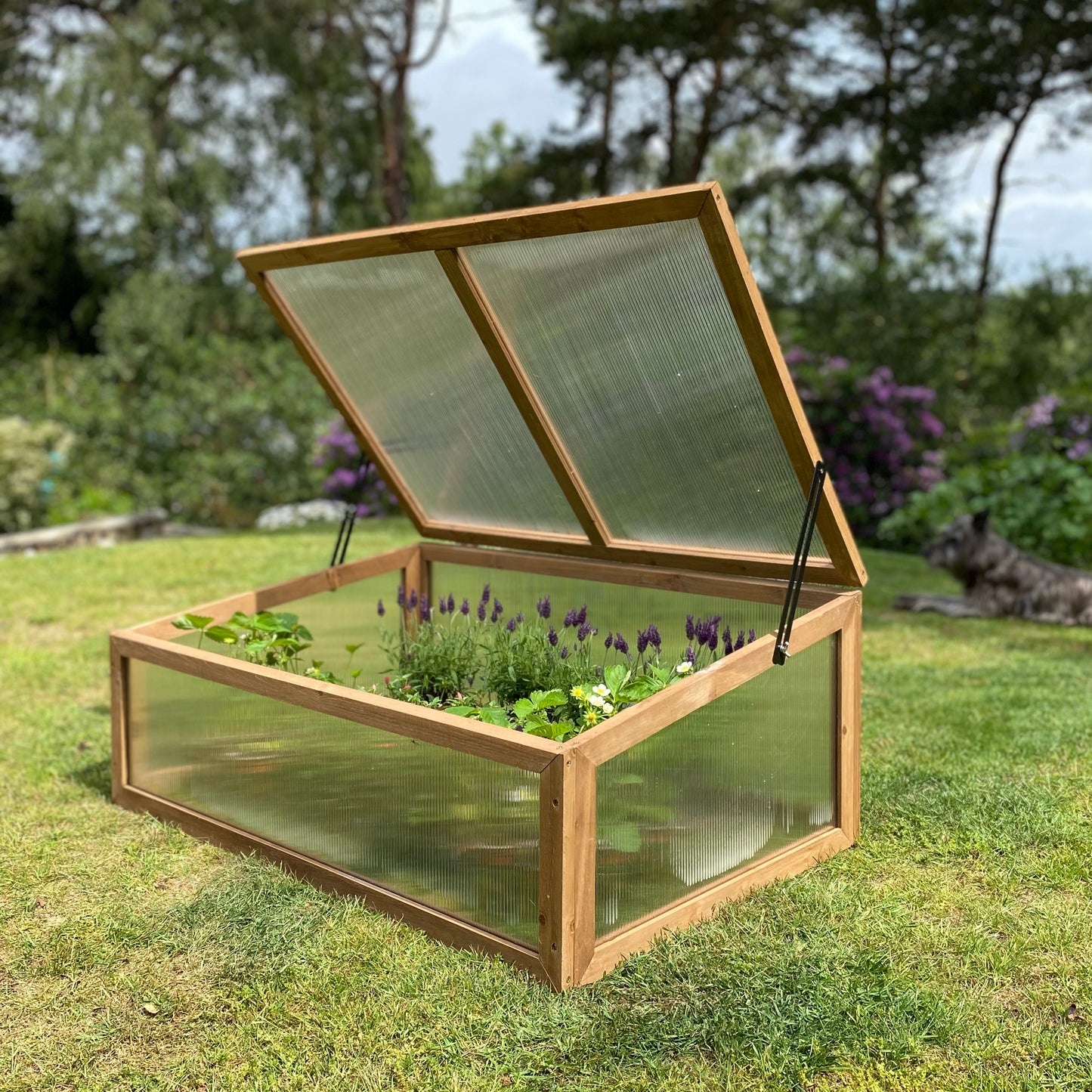 Wooden Framed Polycarbonate Coldframe