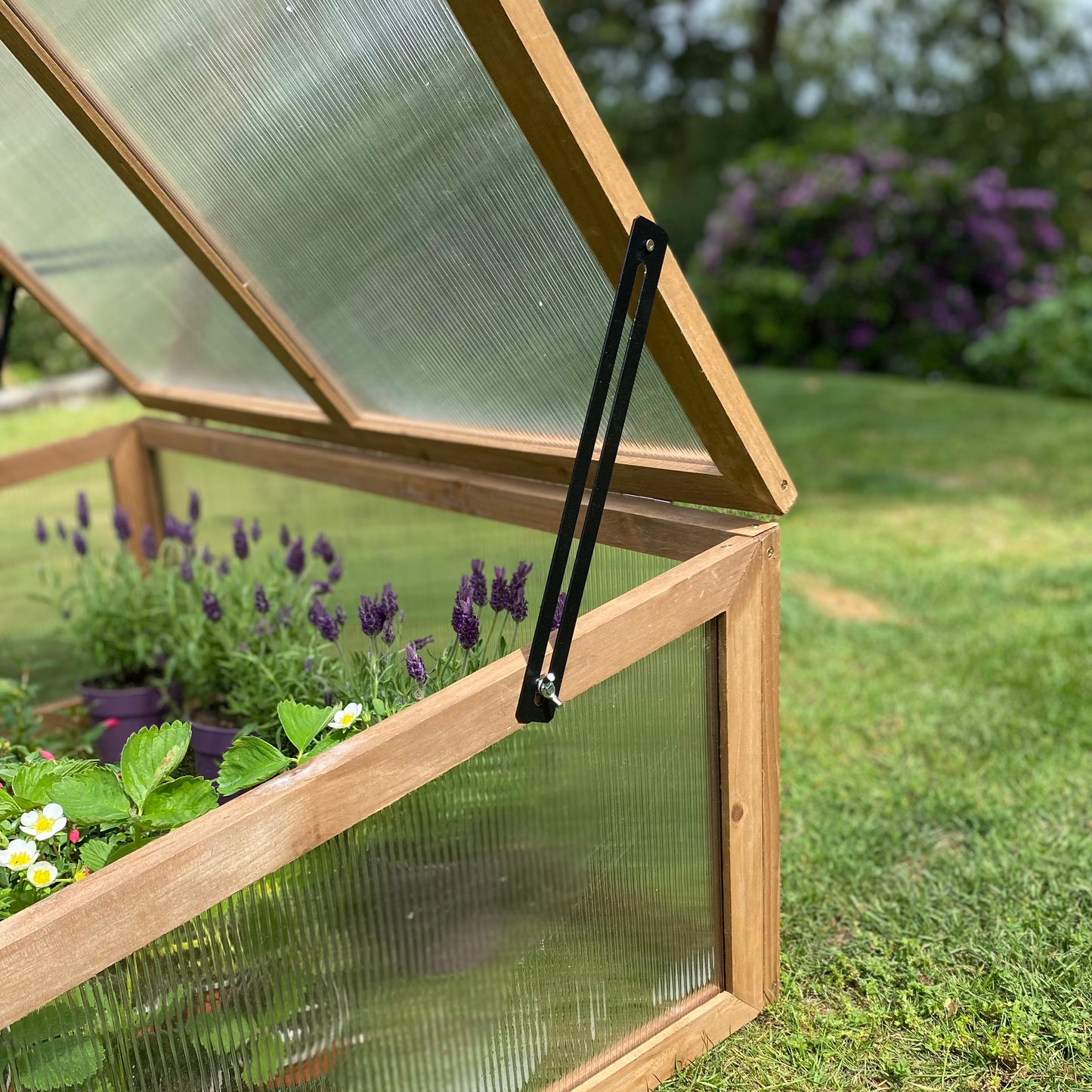 Wooden Framed Polycarbonate Coldframe