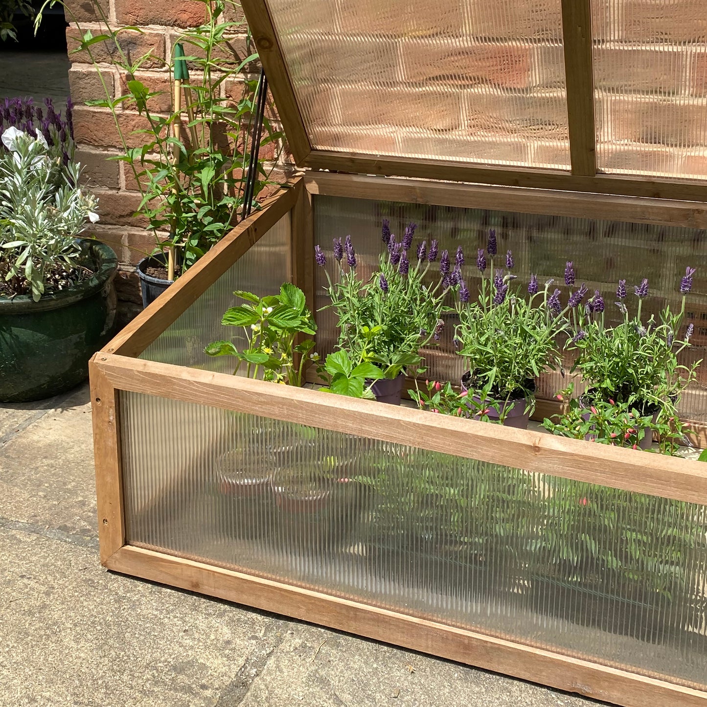 Wooden Framed Polycarbonate Coldframe