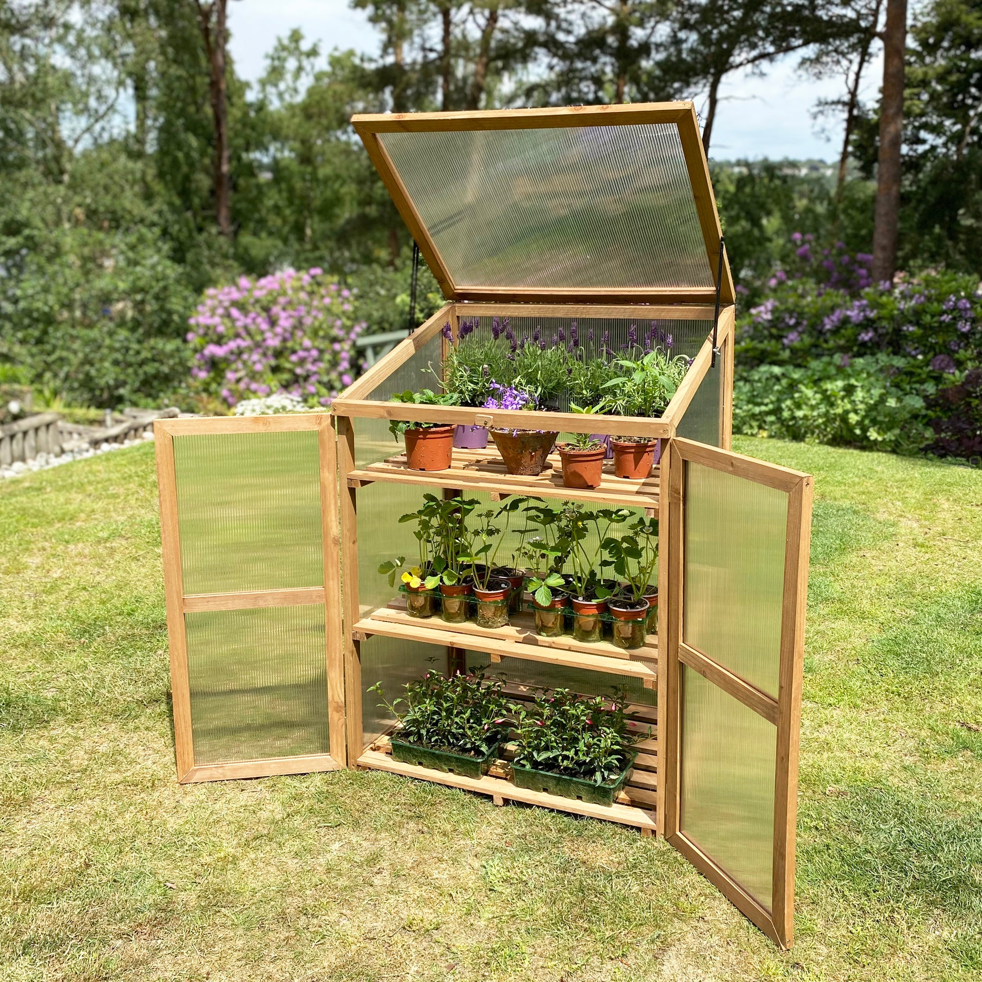 A wooden framed mini greenhouse with polycarbonate sheets, featuring multiple shelves with potted plants inside, located outdoors on a grassy area. The greenhouse has an open top and two doors, and the frame appears stained.