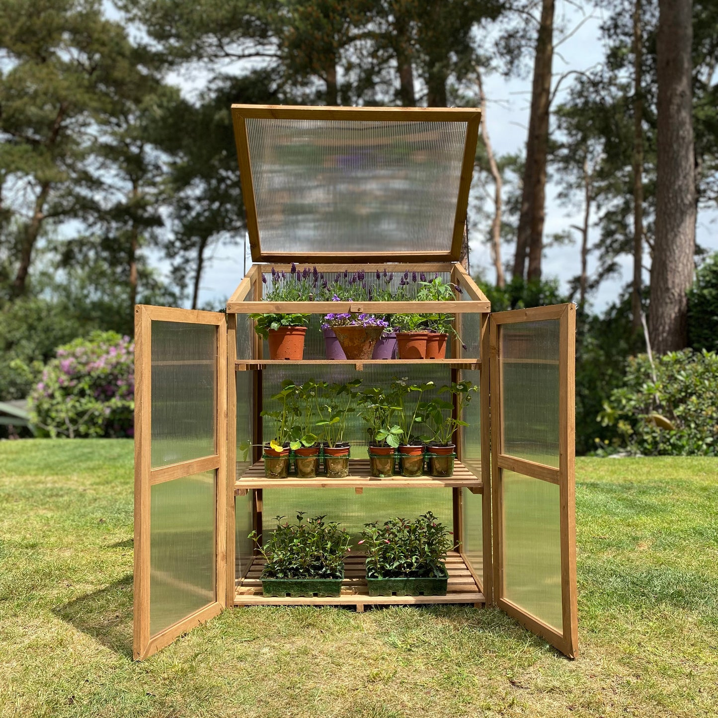 Wooden Framed Polycarbonate Growhouse Mini Greenhouse
