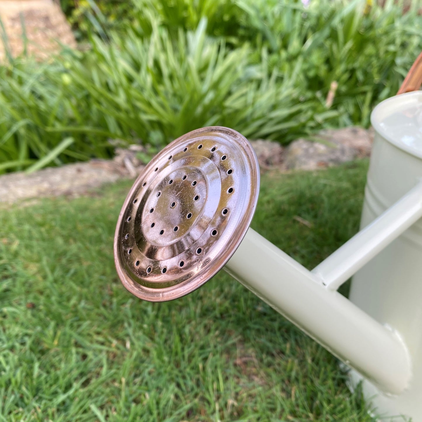 Rose for 3.5 Litre Heritage Cream Watering Can GFJ156