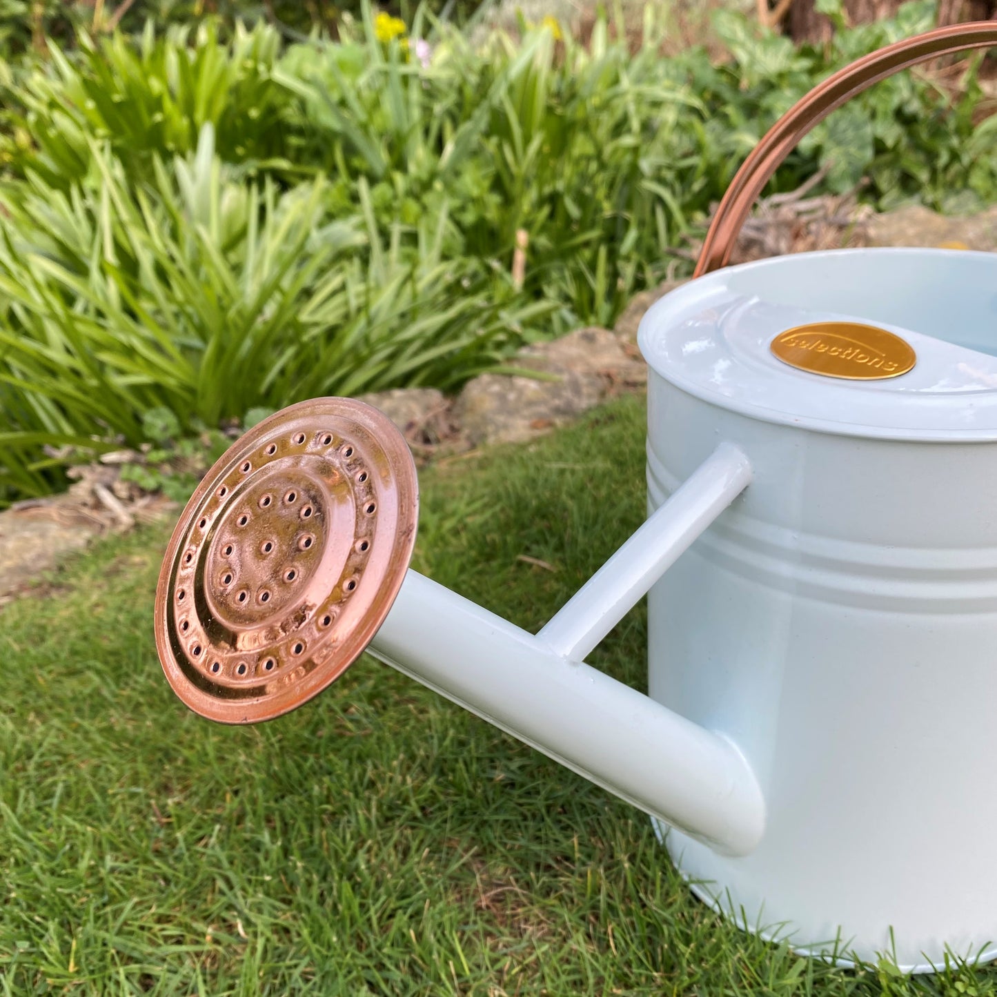 Ivory & Copper Metal Watering Can (3.5 Litre)