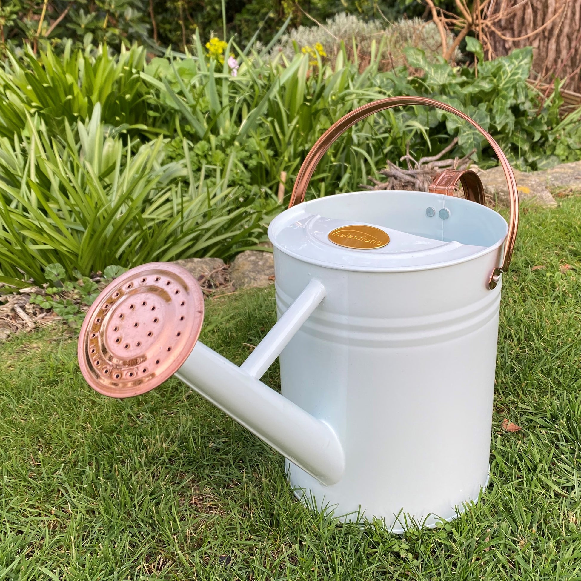 A light ivory white watering can with copper-colored handles and a rose detail, displayed on a grassy surface.