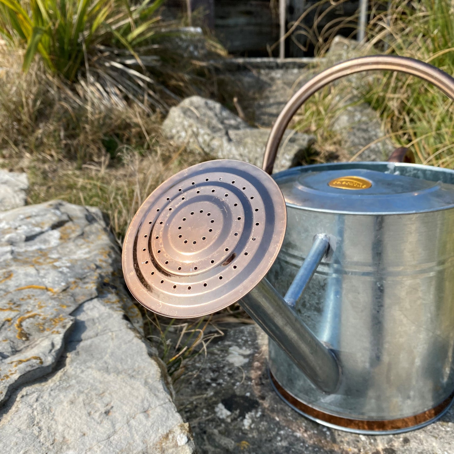 Rose for 9 Litre Silver and Copper Trim Watering Can GFJ158