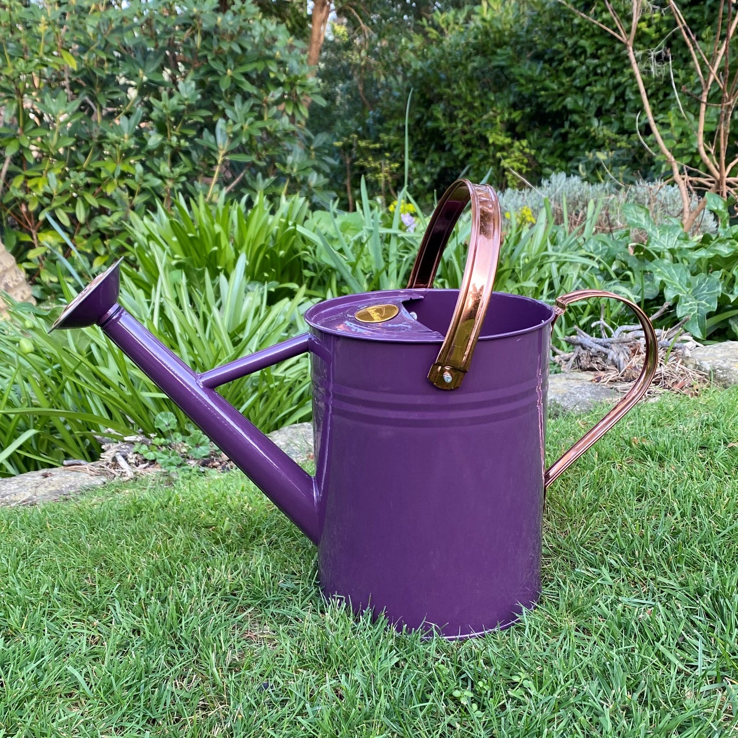 Purple Heather Metal & Copper Watering Can (3.5 Litre)