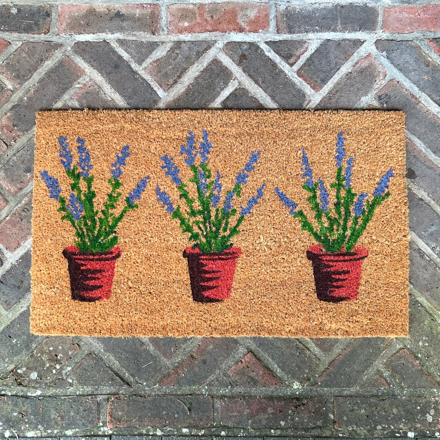 Lavandula Lavender Pots Indoor & Outdoor Coir Doormat