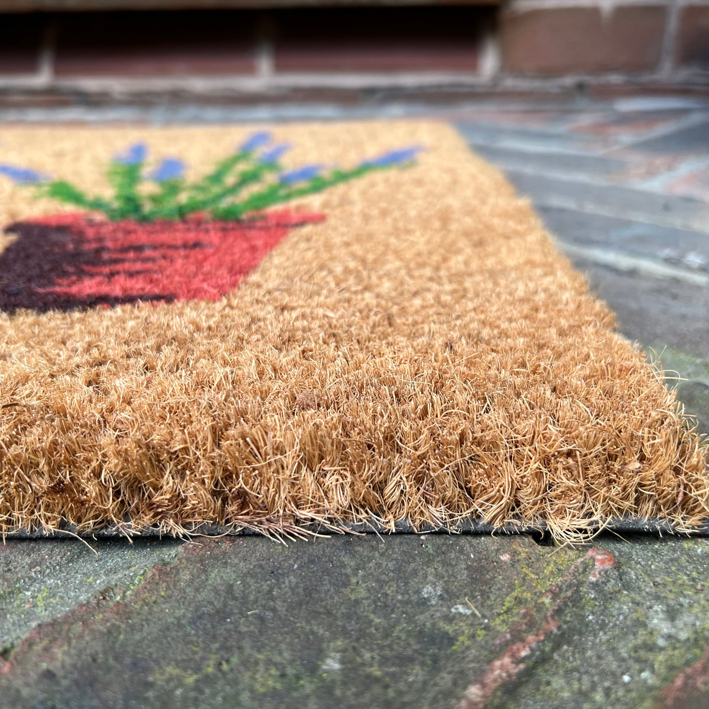 Lavandula Lavender Pots Indoor & Outdoor Coir Doormat