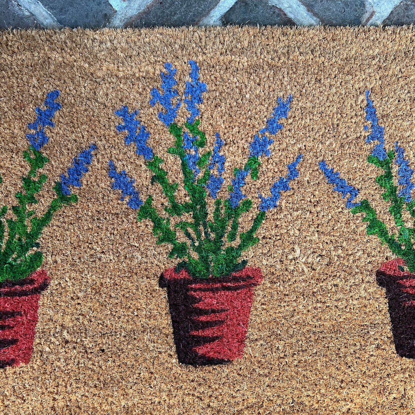 Lavandula Lavender Pots Indoor & Outdoor Coir Doormat