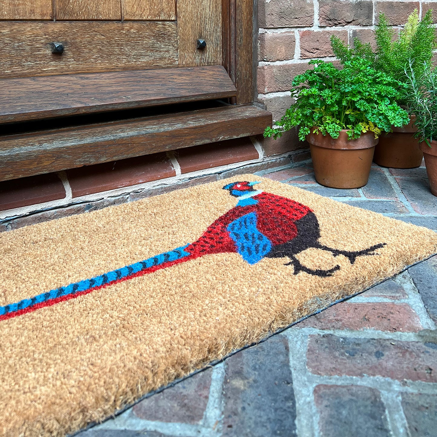 Pheasant Indoor & Outdoor Coir Doormat