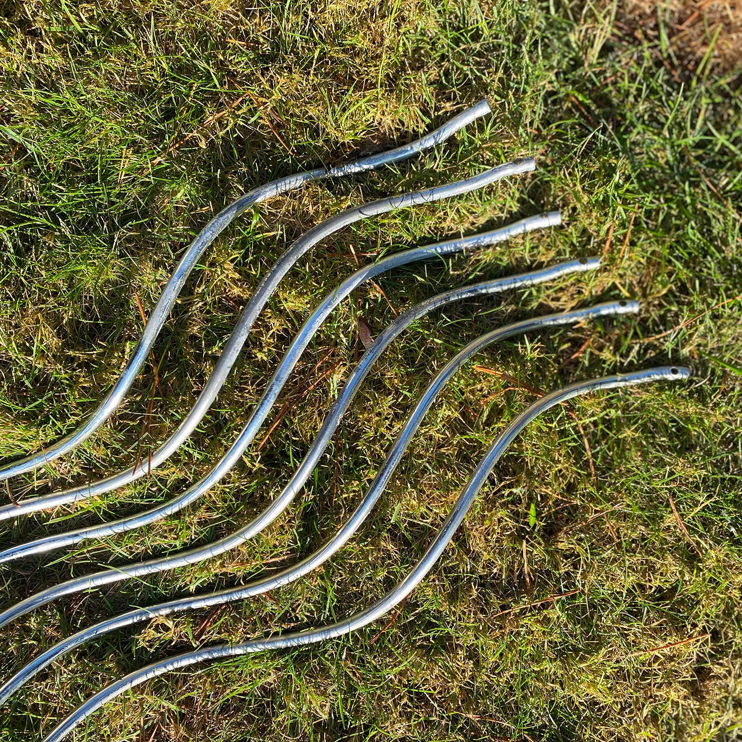 Tomato Plant Stakes Galvanised Metal Spiral Climbing Supports (1.6m) - Pack of 6