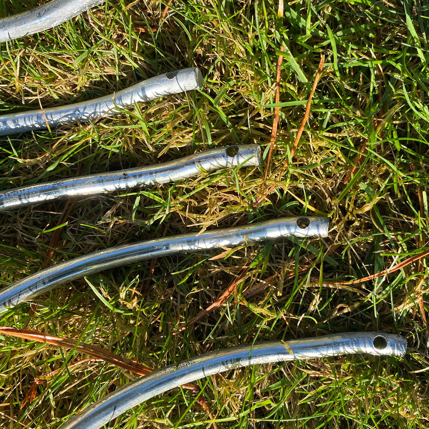 Tomato Plant Stakes Galvanised Metal Spiral Climbing Supports (1.6m) - Pack of 6