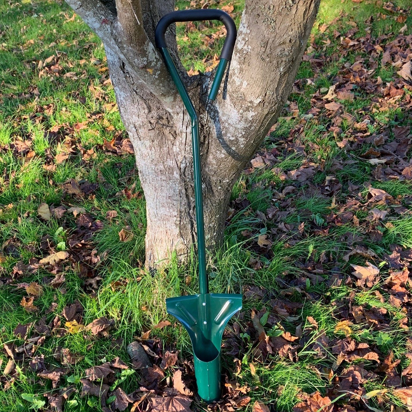 Long Handled Metal Garden Bulb Planter