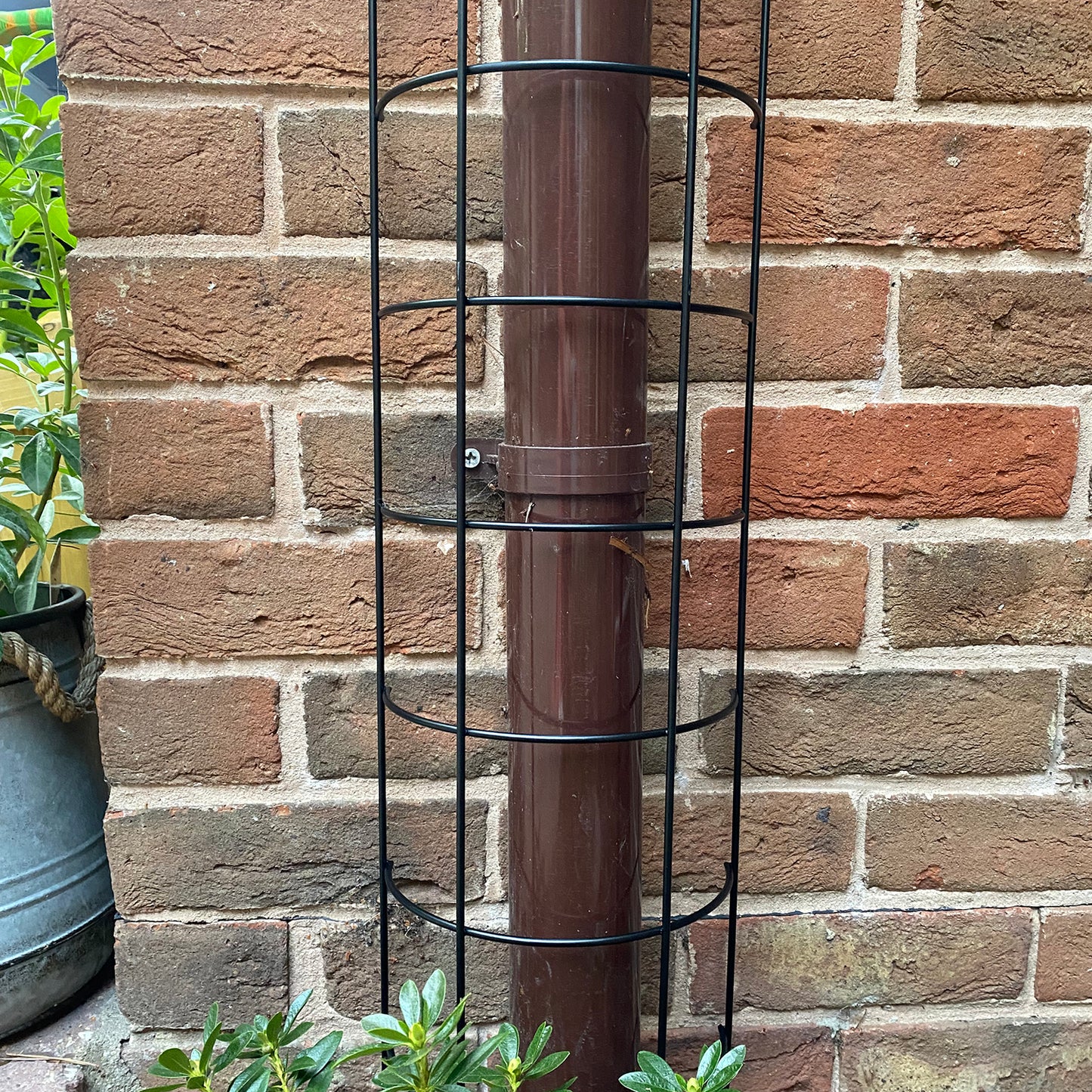 Metal Tube Trellis Semi Circular for Drainpipes (Set of 2)