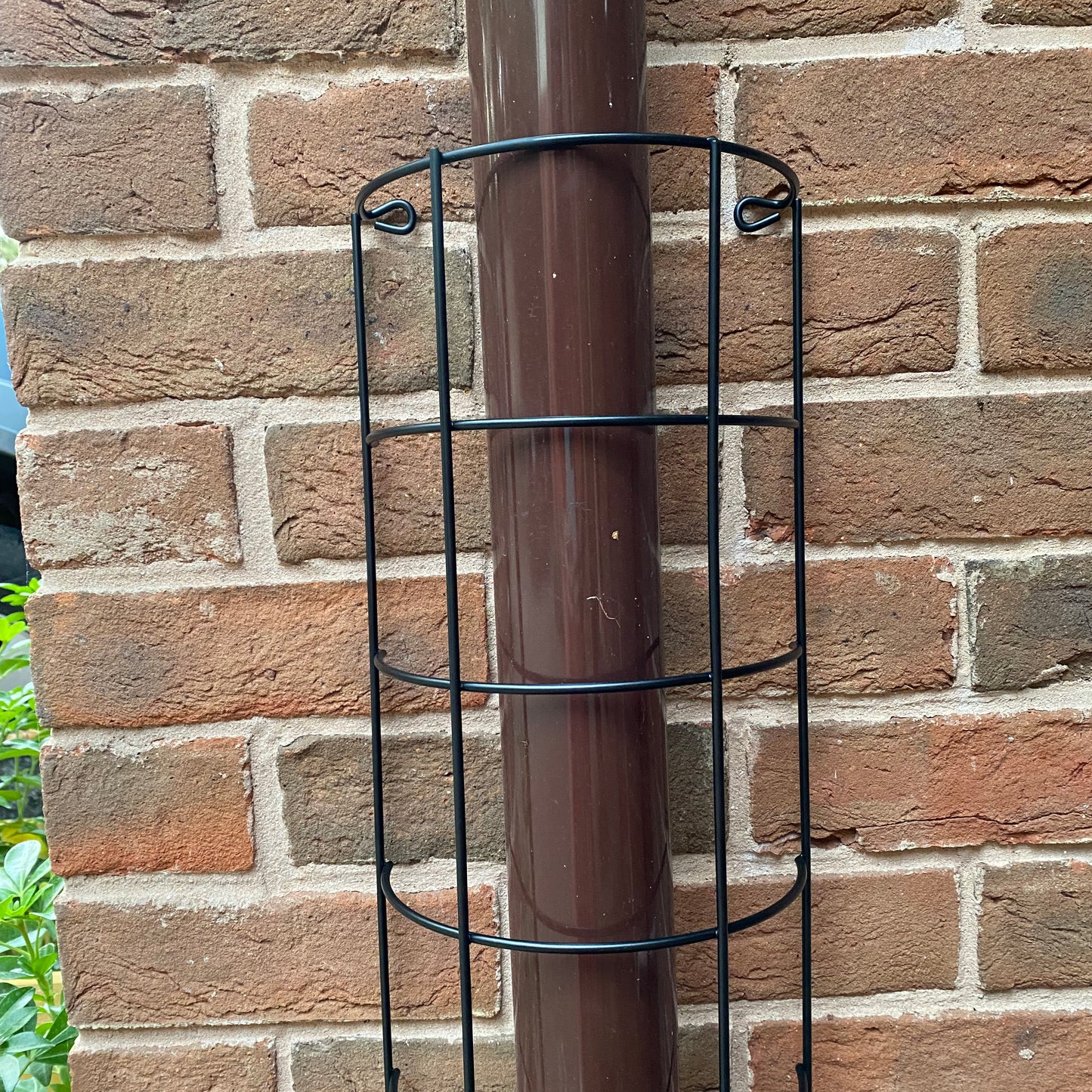 Metal Tube Trellis Semi Circular for Drainpipes - Pack of 2