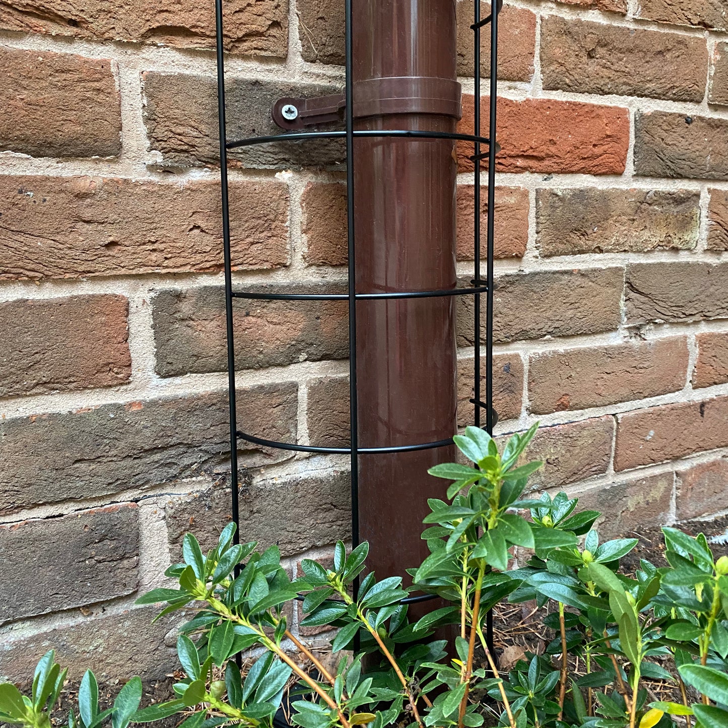 Metal Tube Trellis Semi Circular for Drainpipes - Pack of 2