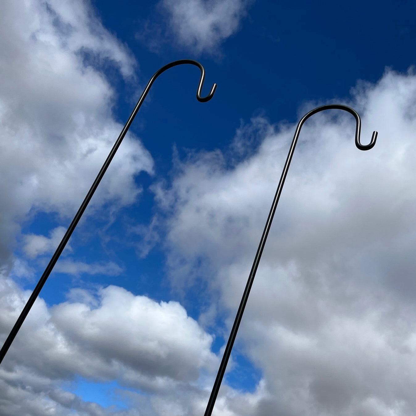 Pair of Garden Shepherds Crook Black Metal Border Hooks (2.18m)