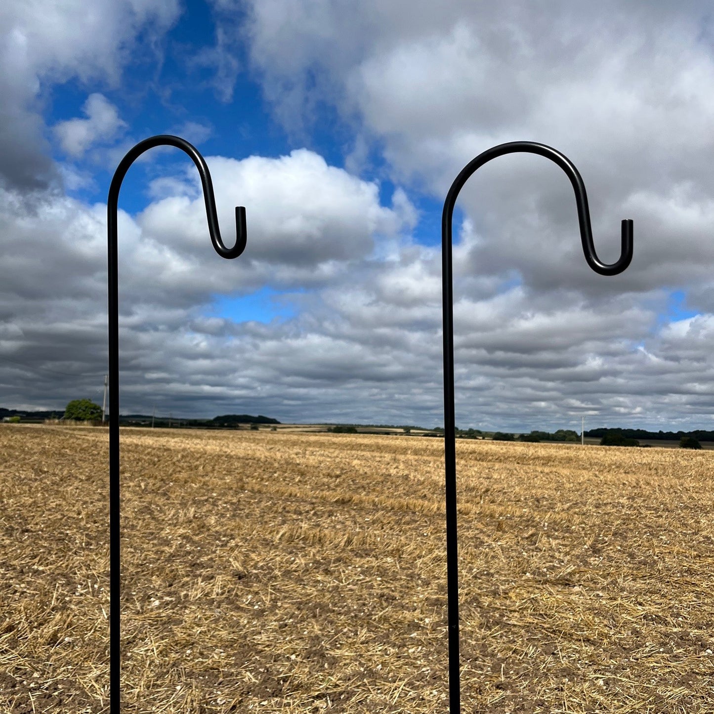 Pair of Garden Shepherds Crook Black Metal Border Hooks (2.18m)