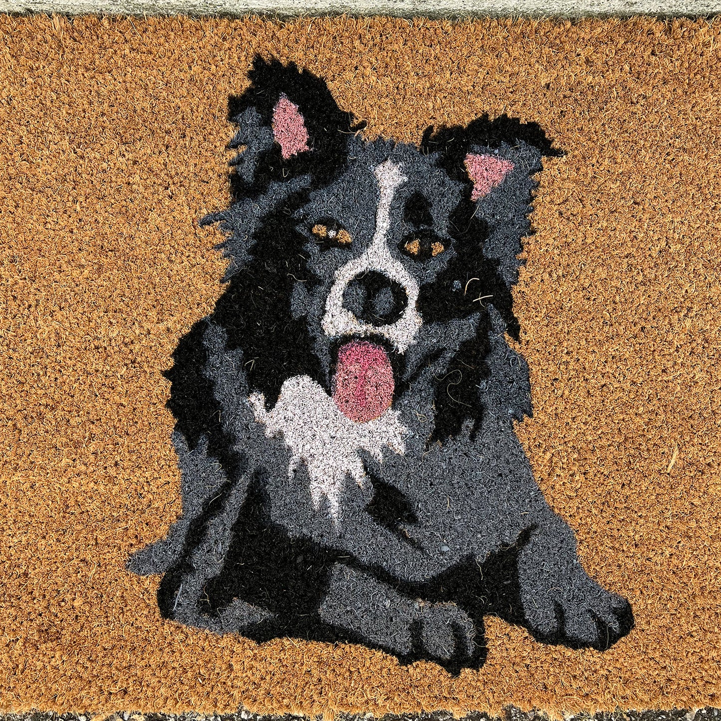 Border Collie Dog Design Print Indoor & Outdoor Coir Doormat