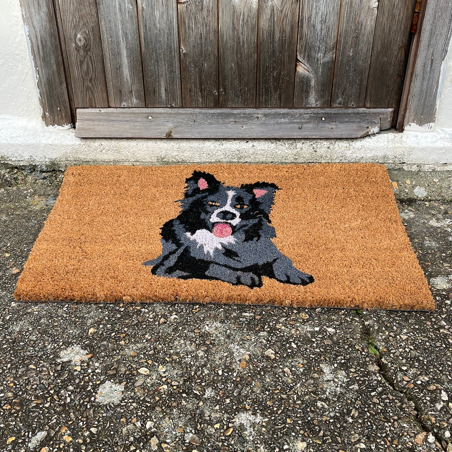 Border Collie Dog Design Print Indoor & Outdoor Coir Doormat