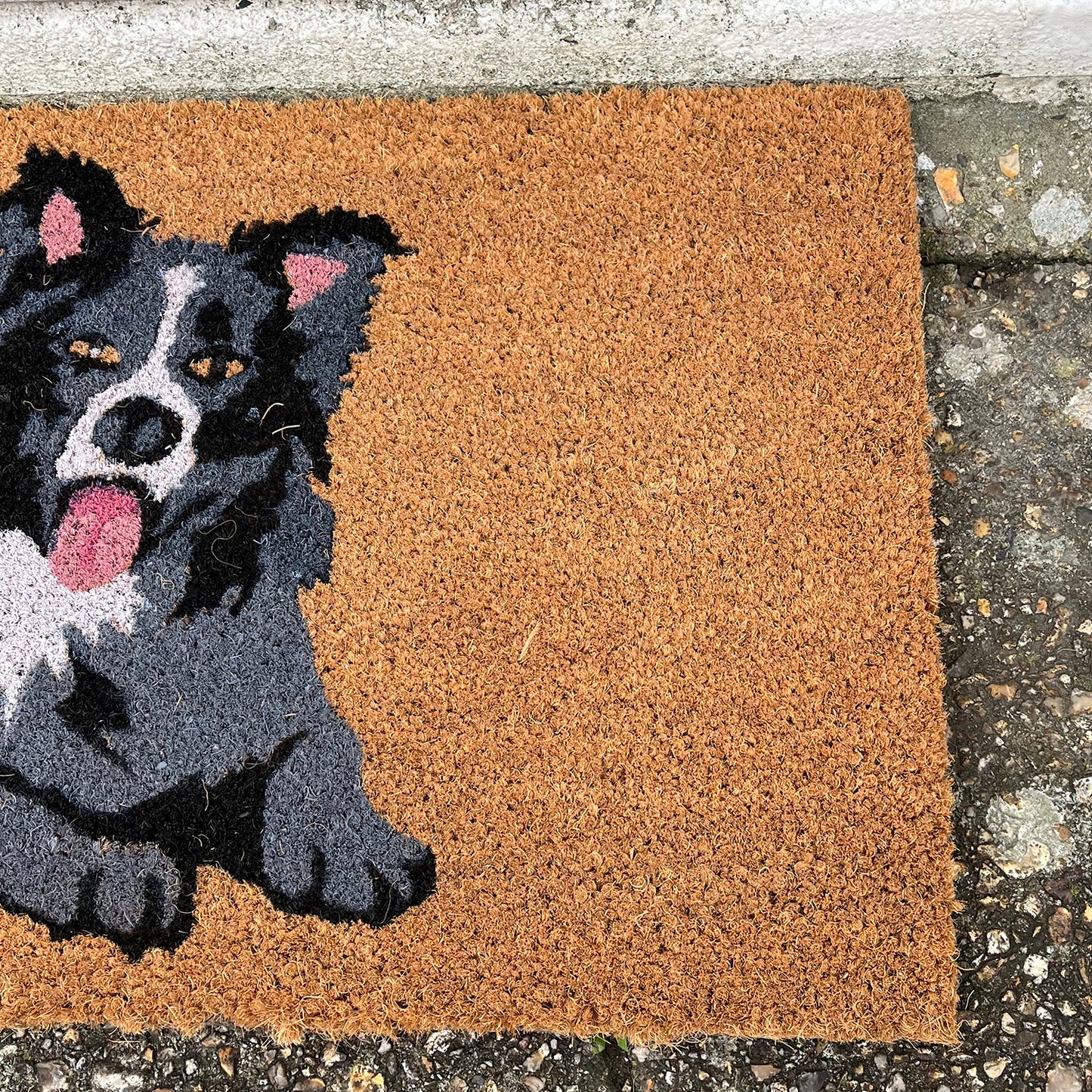 Border Collie Dog Design Print Indoor & Outdoor Coir Doormat