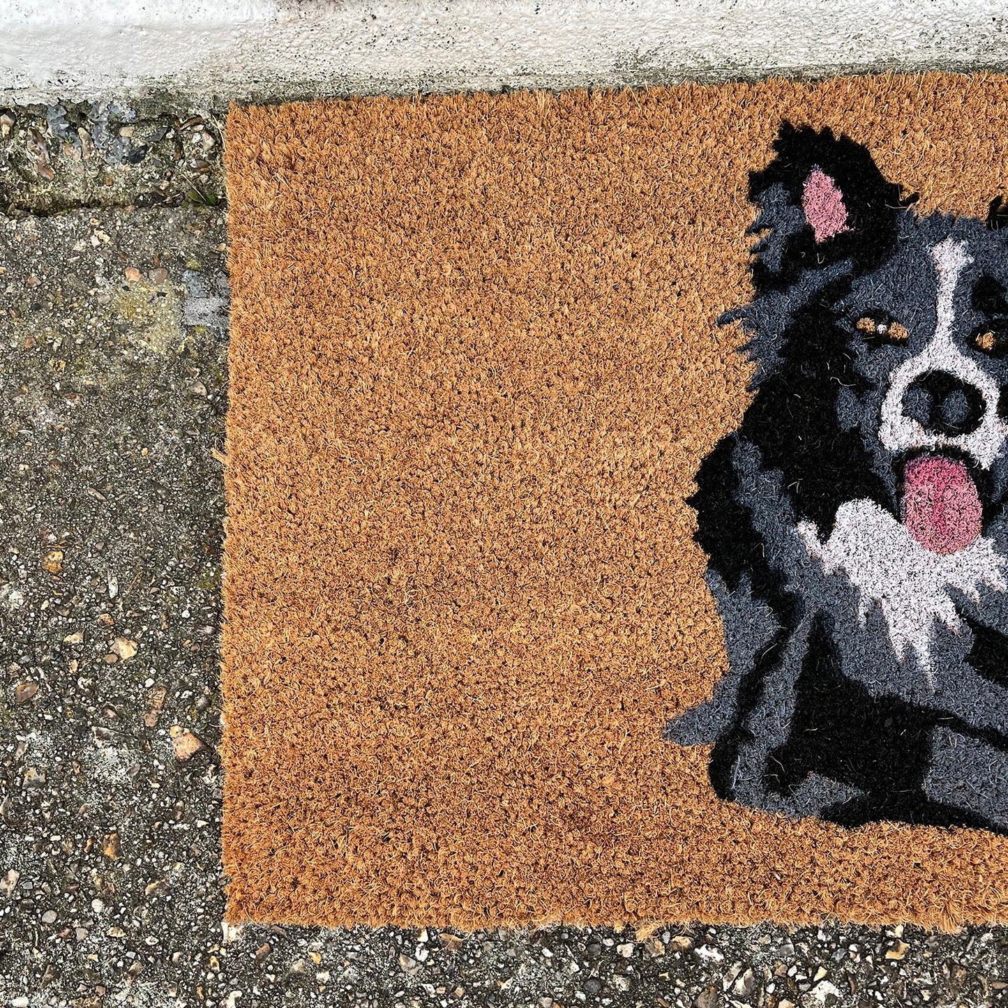 Border Collie Dog Design Print Indoor & Outdoor Coir Doormat